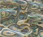 Paua Dark abalone veneer sheets